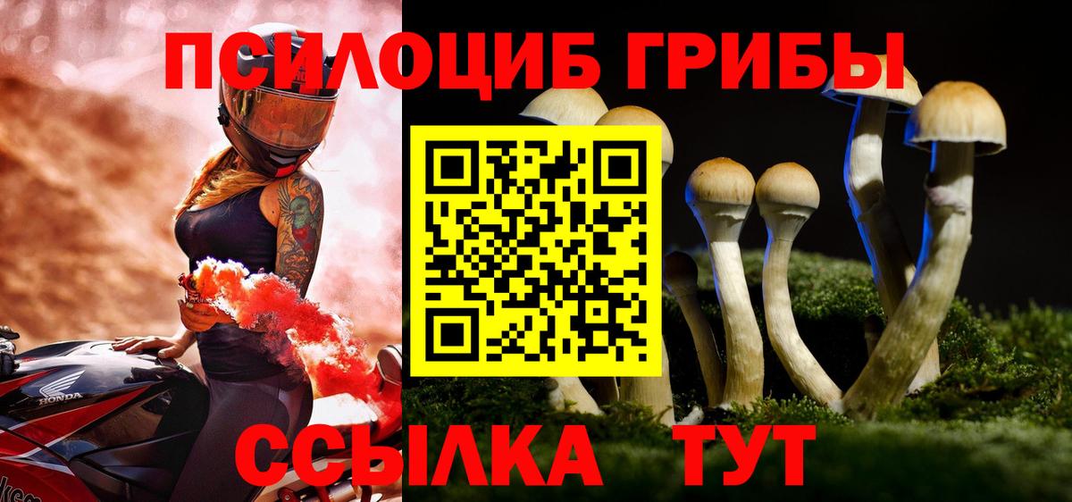 Галлюциногенные грибы мицелий Родники